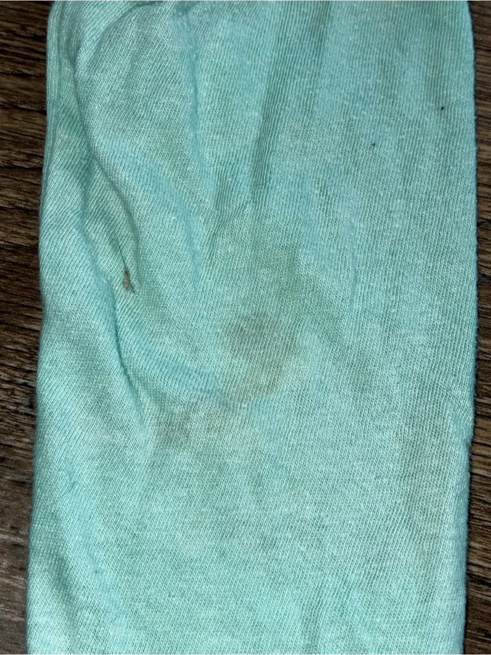 Old Navy Mint Green Camp Crew Long Sleeve Graphic Tee